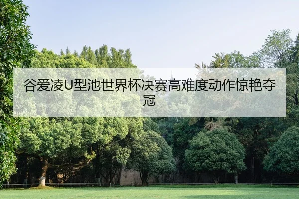 谷爱凌U型池世界杯决赛高难度动作惊艳夺冠