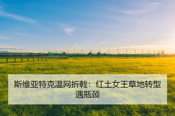 si-wei-ya-te-ke-wen-wang-zhe-ji-hong-tu-nv-wang-cao-di-zhuan-xing-yu-ping-jing-3-734.jpg
