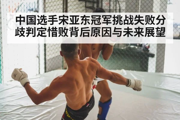 中国选手宋亚东冠军挑战失败分歧判定惜败背后原因与未来展望