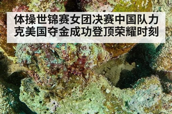 体操世锦赛女团决赛中国队力克美国夺金成功登顶荣耀时刻