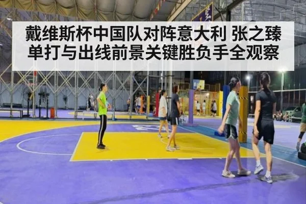 戴维斯杯中国队对阵意大利 张之臻单打与出线前景关键胜负手全观察